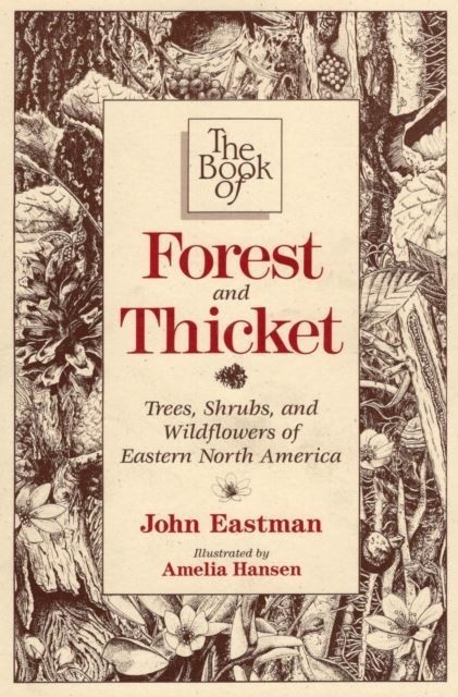Book of Forest & Thicket main product photo