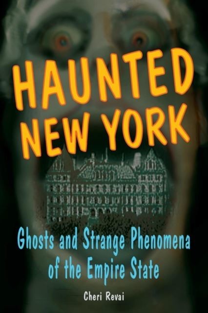 Haunted New York main product photo