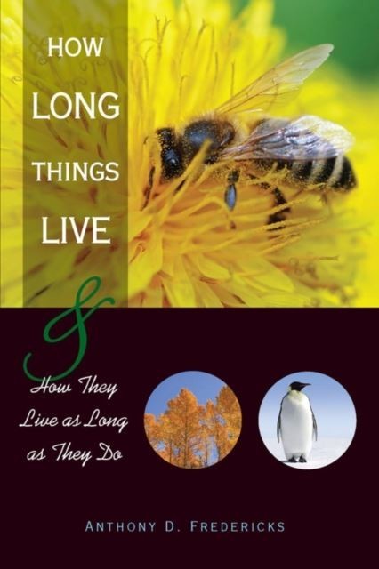 How Long Things Live main product photo
