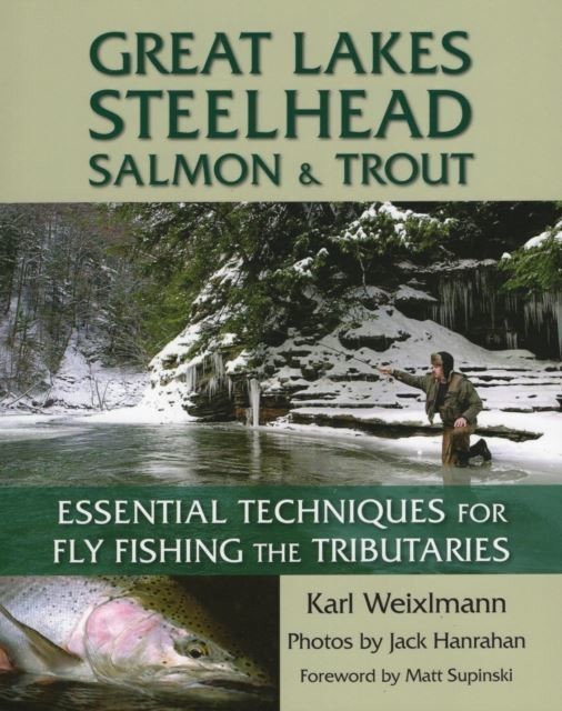 Great Lakes Steelhead, Salmon & Trout main product photo