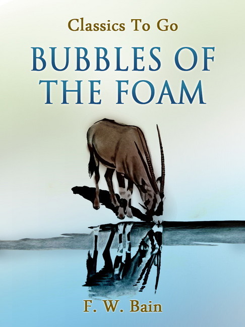 Bubbles of the Foam main product photo