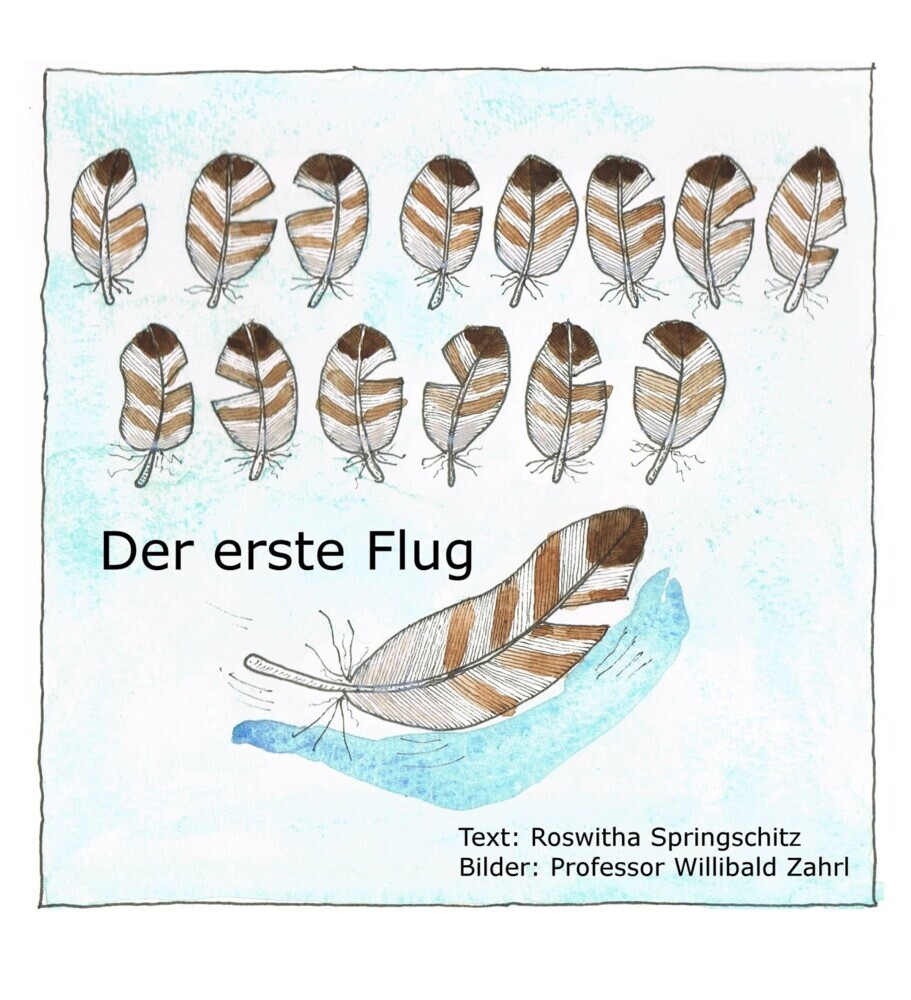 Der erste Flug main product photo