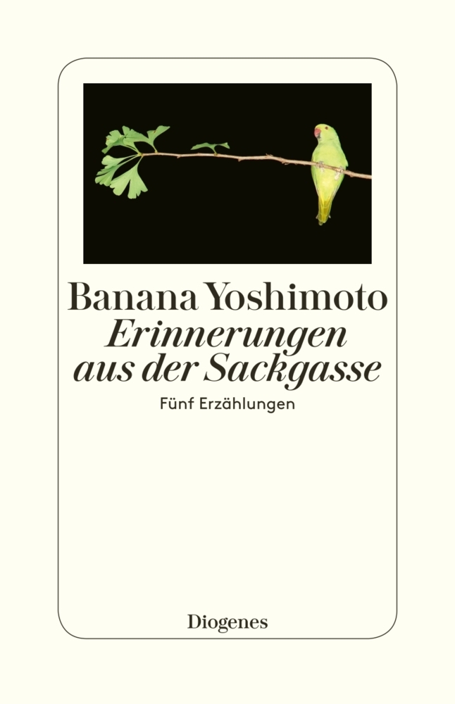 Erinnerungen aus der Sackgasse main product photo