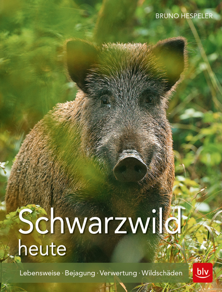 Schwarzwild heute main product photo