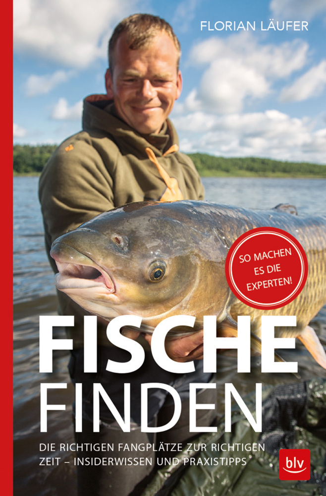 Fische finden main product photo
