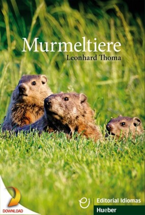 Murmeltiere