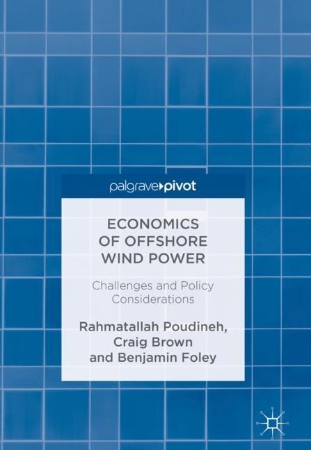 Economics of Offshore Wind Power main product photo