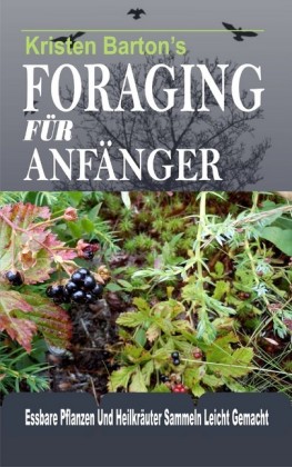 Foraging Für Anfänger