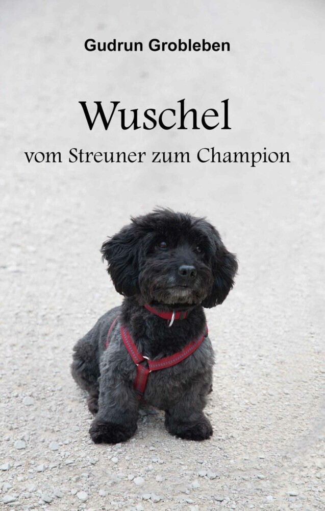 Wuschel, vom Streuner zum Champion main product photo
