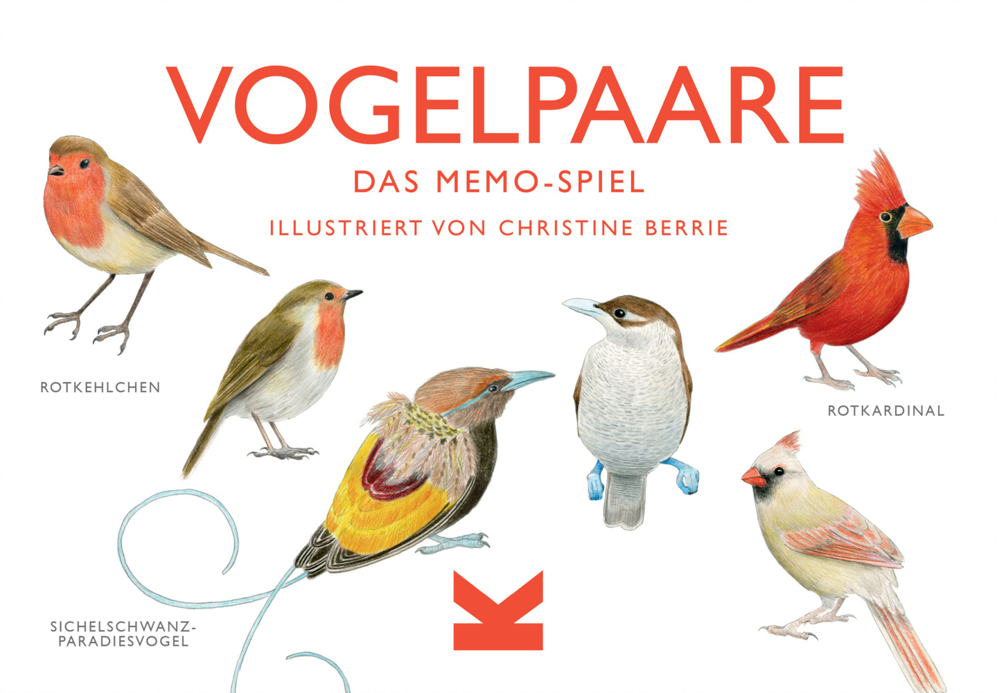 Vogelpaare (Spiel) main product photo