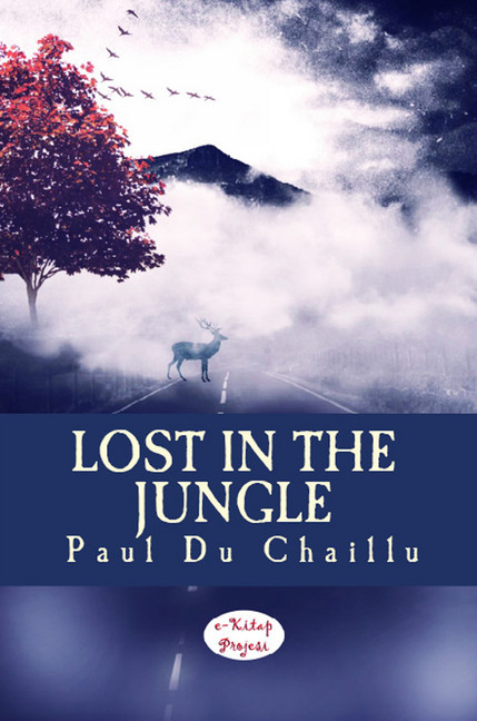 Lost in the Jungle main product photo