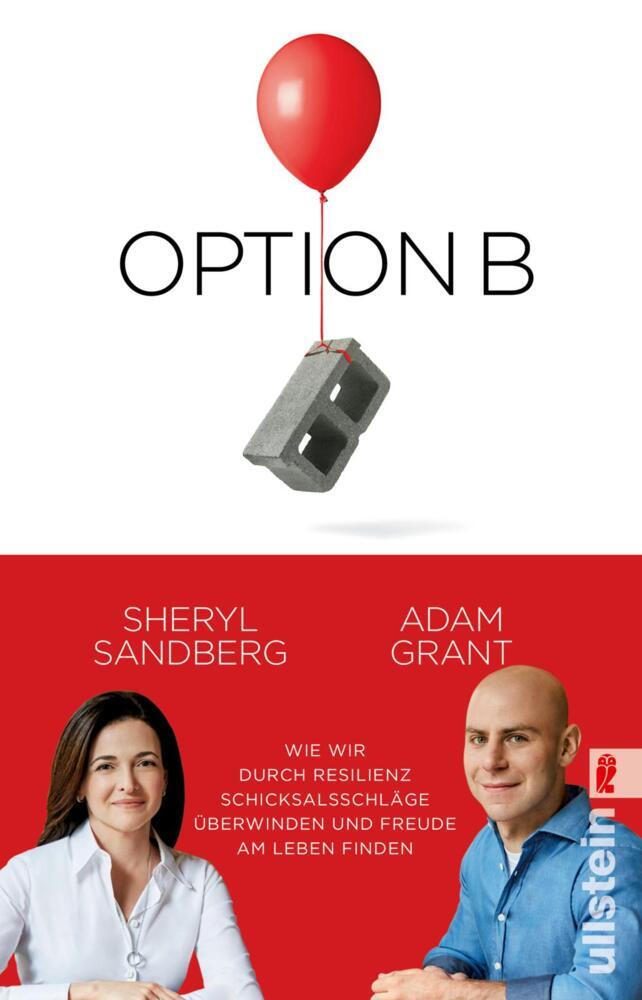 Option B main product photo