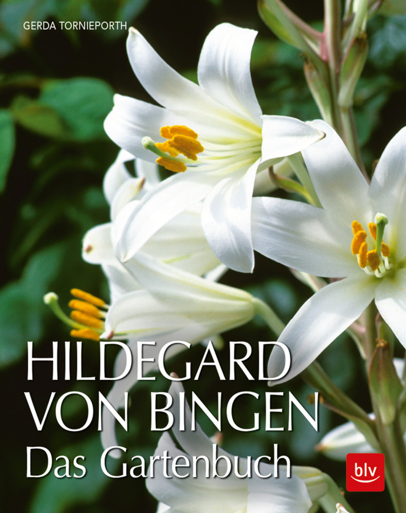 Hildegard von Bingen main product photo