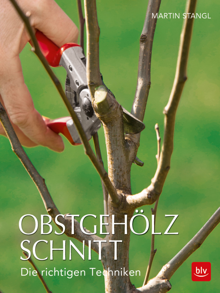 Obstgehölzschnitt main product photo