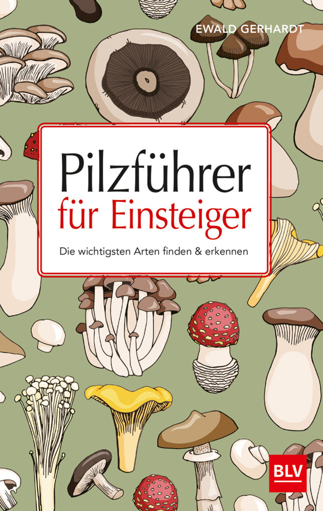 Pilzführer für Einsteiger main product photo