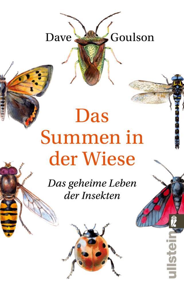 Das Summen in der Wiese main product photo