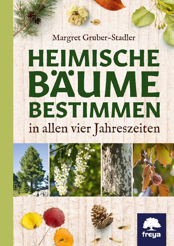 Heimische Bäume bestimmen main product photo
