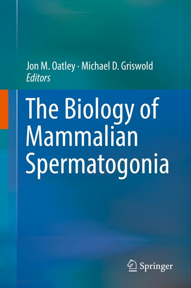 The Biology of Mammalian Spermatogonia main product photo