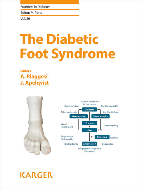 The Diabetic Foot Syndrome main product photo