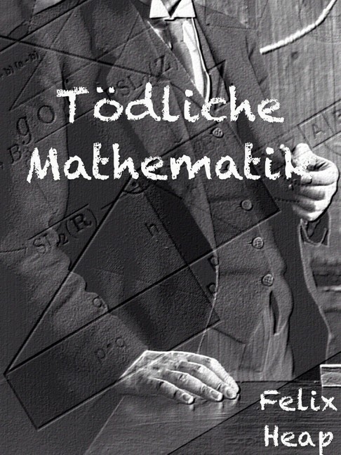 Tödliche Mathematik main product photo