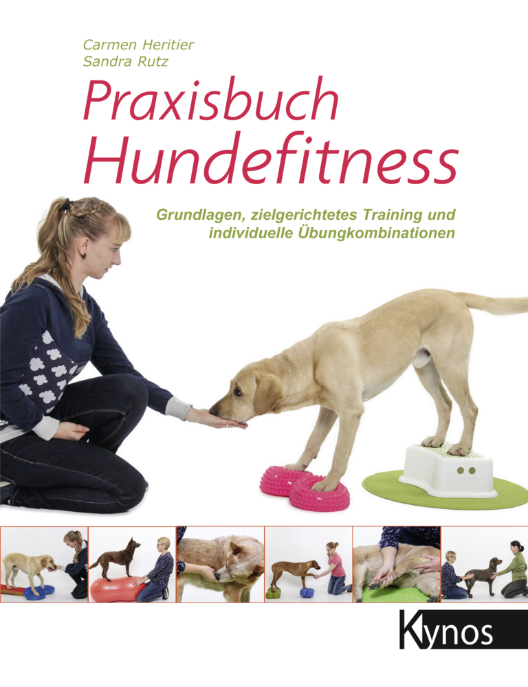 Praxisbuch Hundefitness main product photo