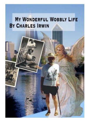 My Wonderful Wobbly Life