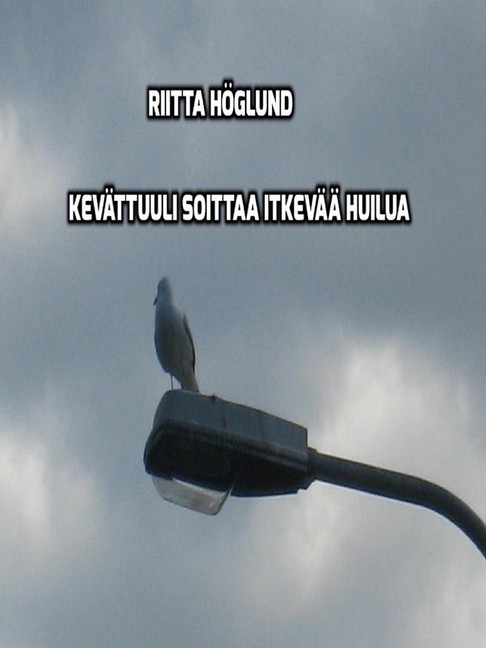 Kevättuuli soittaa itkevää huilua main product photo