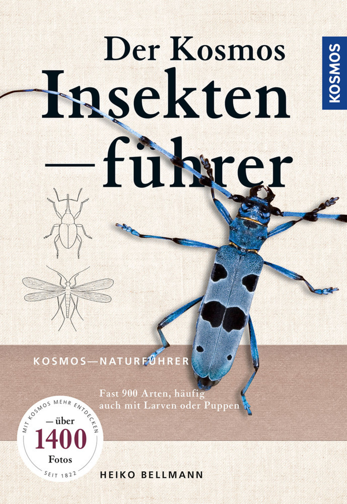 Der KOSMOS Insektenführer main product photo