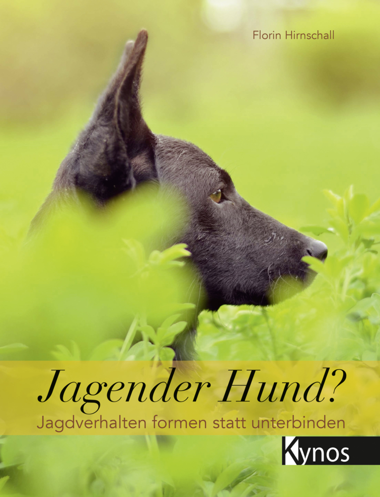 Jagender Hund? main product photo