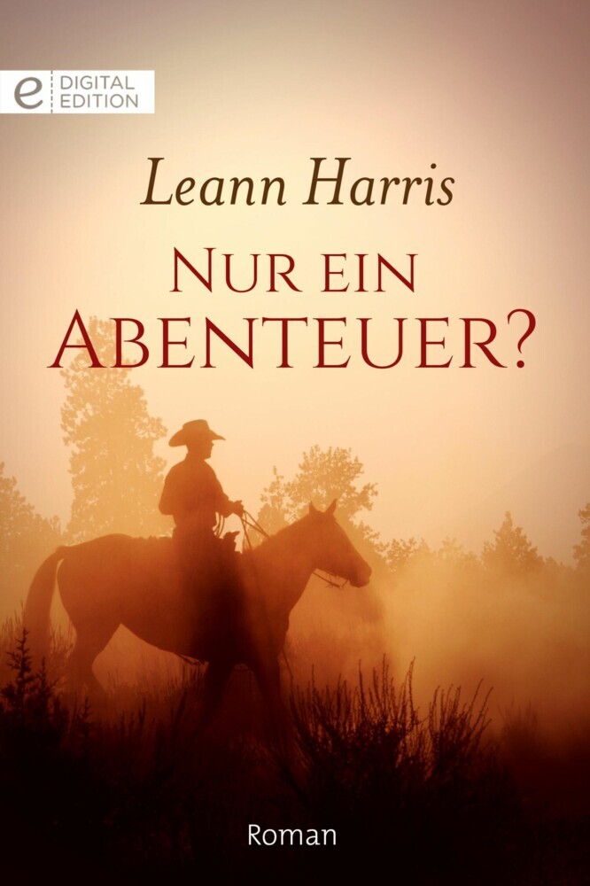 Nur ein Abenteuer? main product photo