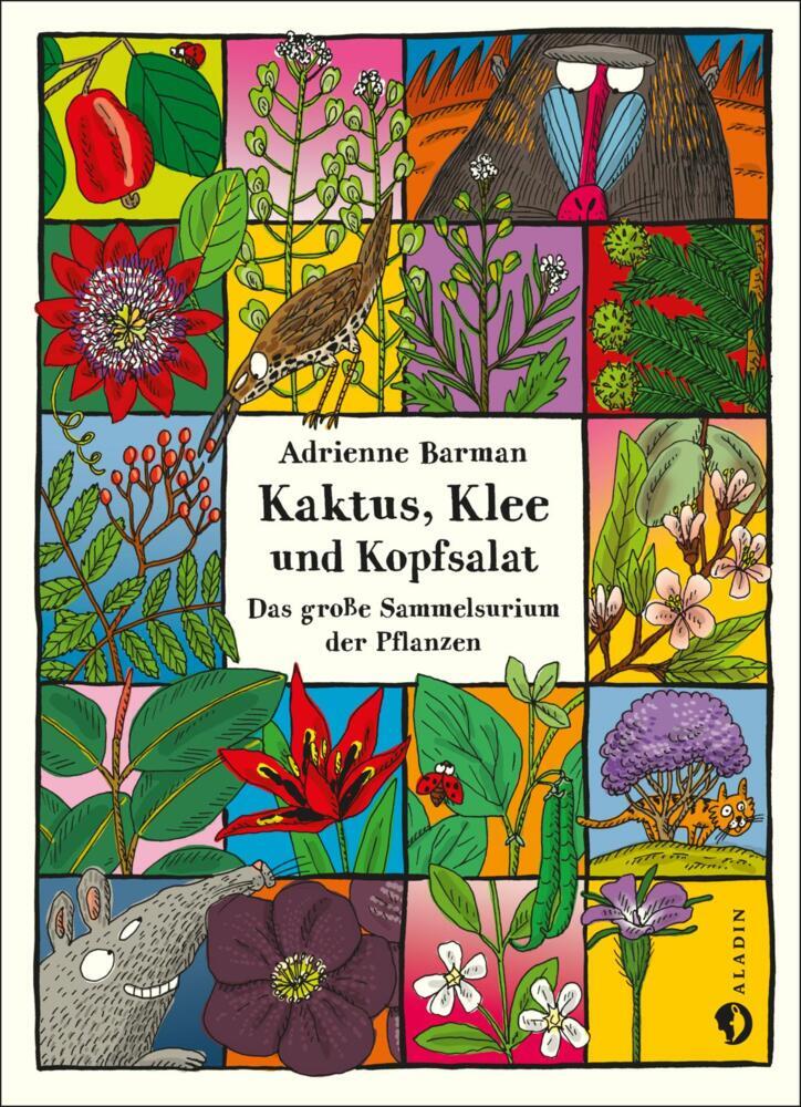 Kaktus, Klee und Kopfsalat main product photo