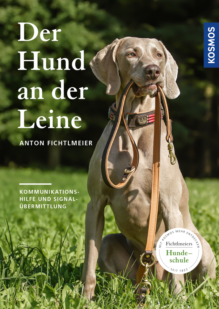Der Hund an der Leine main product photo