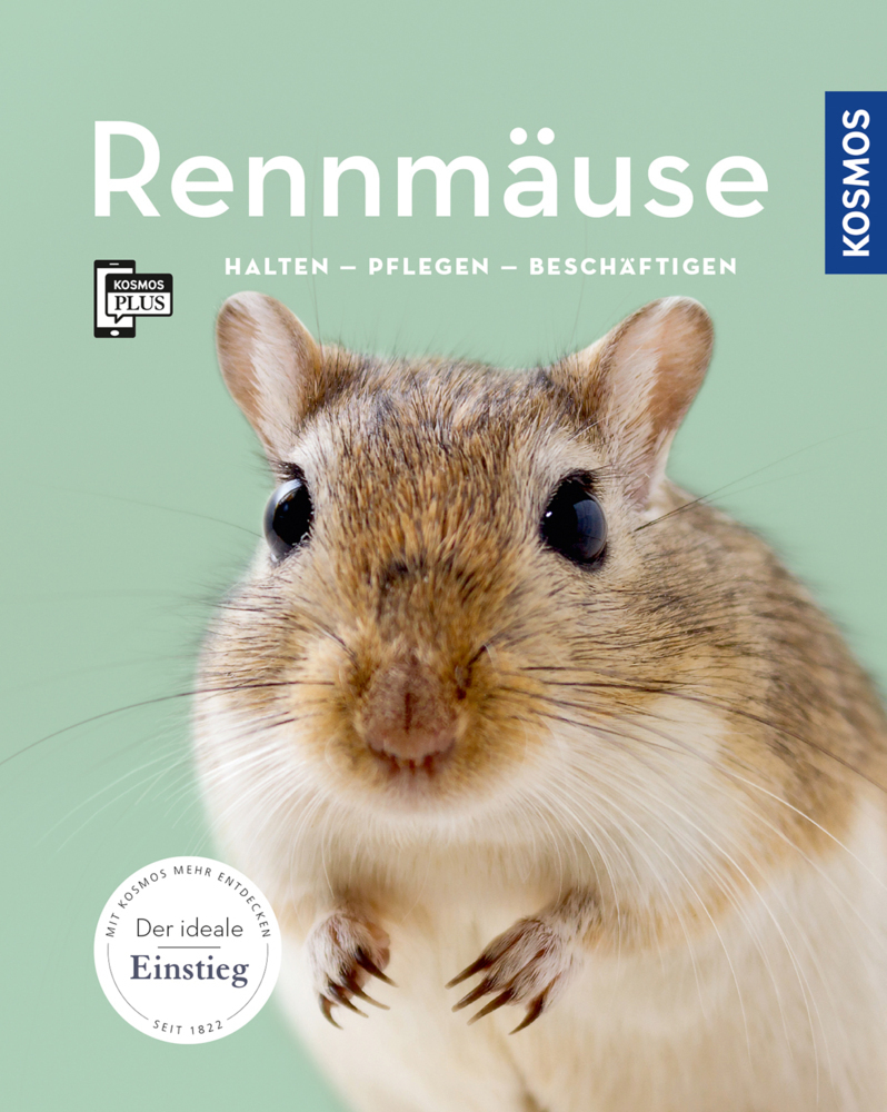 Rennmäuse main product photo