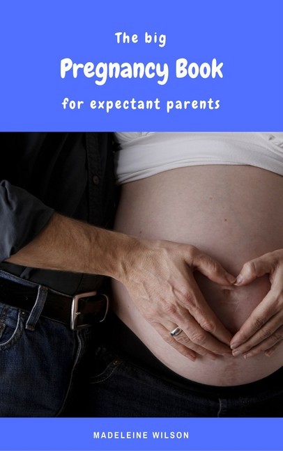 The big Pregnancy Book for expectant parents main product photo