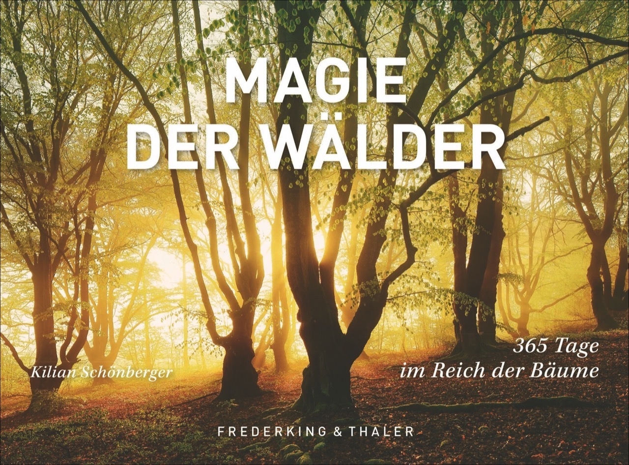 Magie der Wälder, Tischaufsteller main product photo