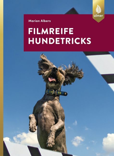 Filmreife Hundetricks main product photo