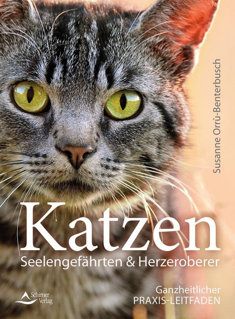 Katzen - Seelengefährten & Herzeroberer main product photo
