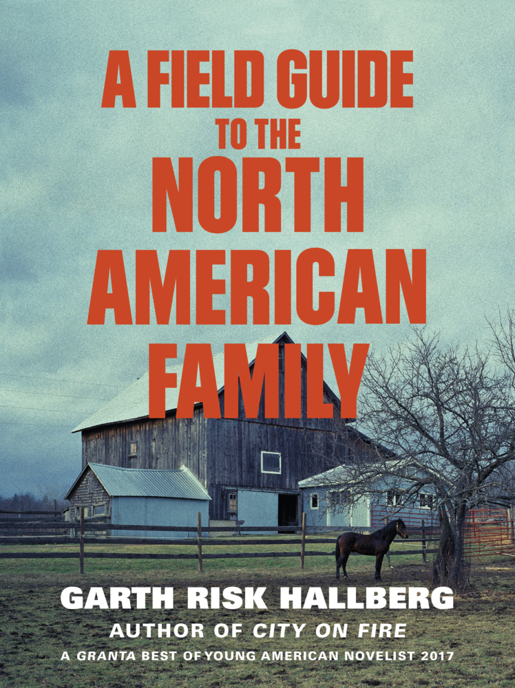 A Field Guide to the North American Family main product photo