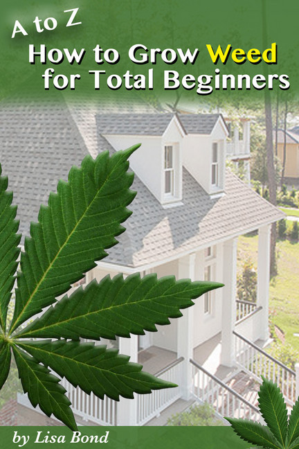 A to Z How to Grow Weed at Home for Total Beginner main product photo