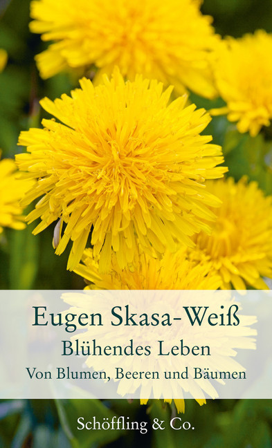 Blühendes Leben main product photo