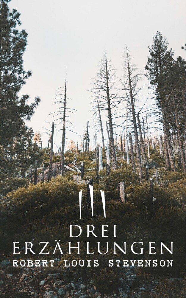 Drei Erzählungen main product photo