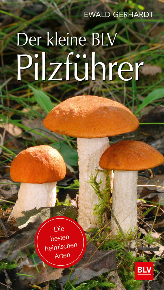Der kleine BLV Pilzführer main product photo