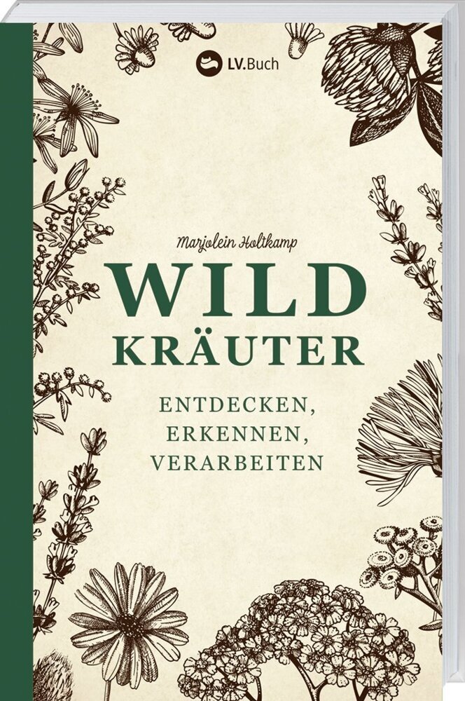 Wildkräuter entdecken, erkennen und verarbeiten main product photo