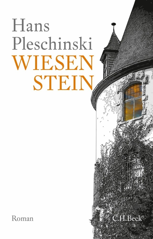 Wiesenstein main product photo