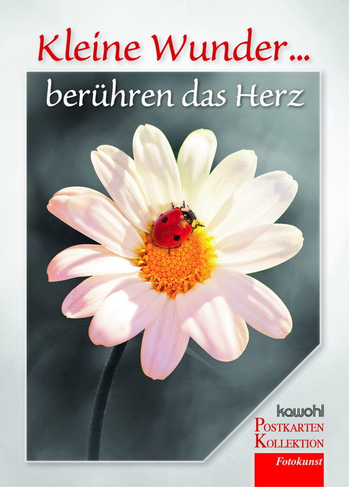 Kleine Wunder berühren das Herz, Postkarten-Buch main product photo