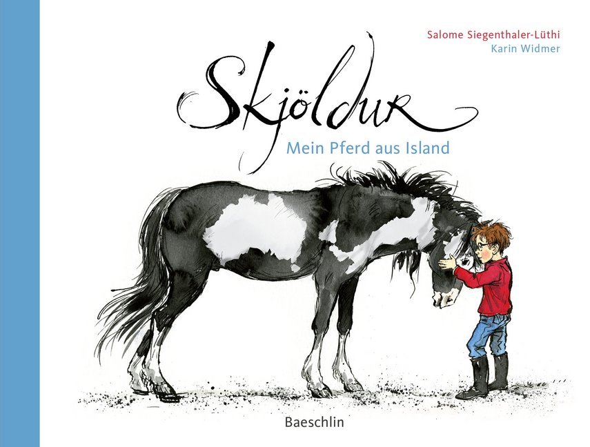 Skjöldur main product photo