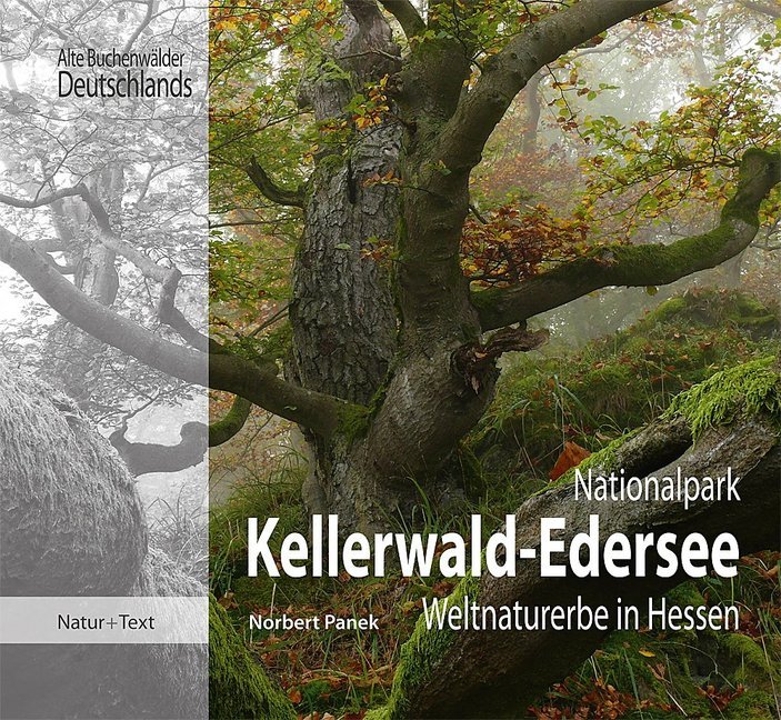 Nationalpark Kellerwald-Edersee main product photo