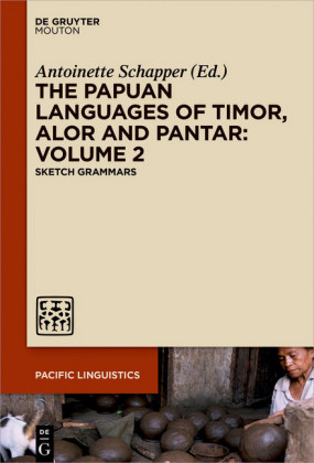 The Papuan Languages of Timor, Alor and Pantar, Volume 2