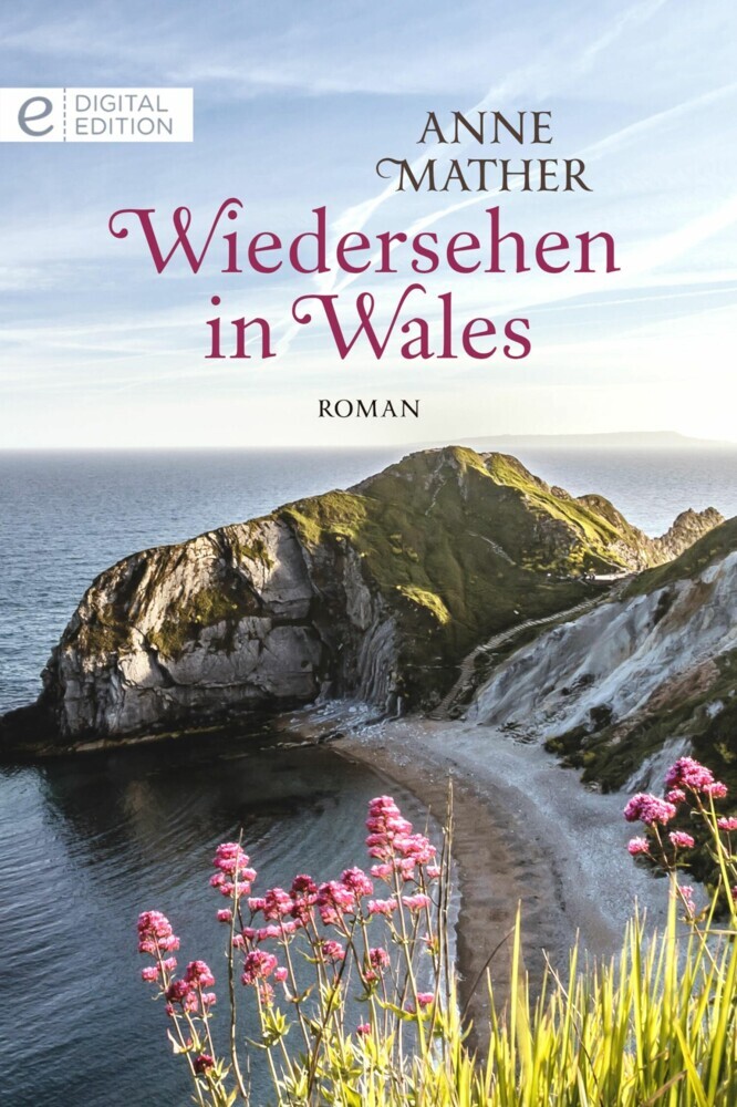 Wiedersehen in Wales main product photo