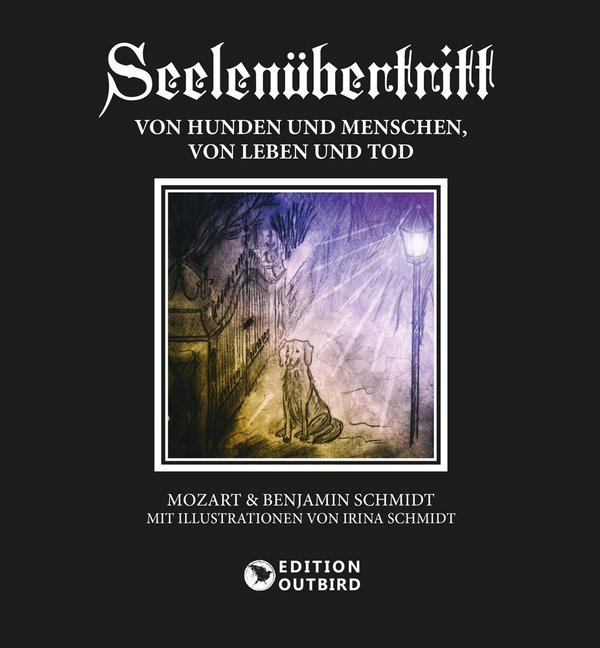 Seelenübertritt main product photo